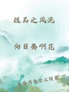 极品之风流