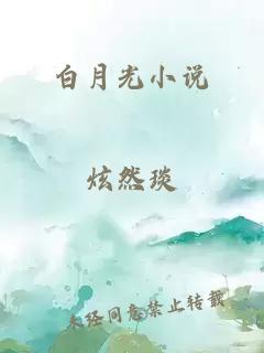 白月光小说