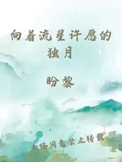 向着流星许愿的独月