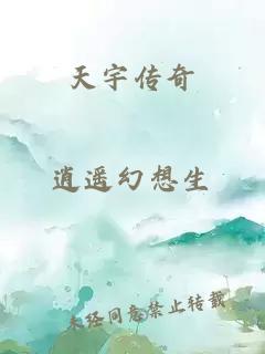 天宇传奇
