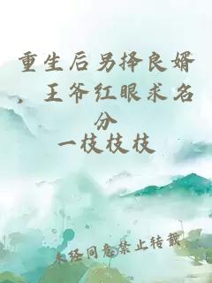 重生后另择良婿，王爷红眼求名分