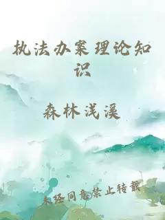 执法办案理论知识