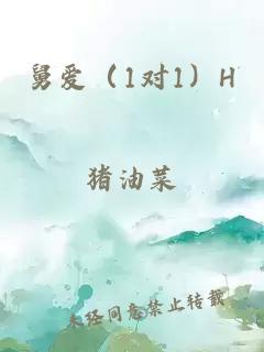舅爱（1对1）H