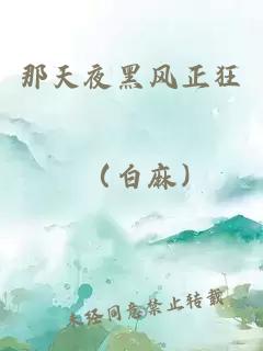 那天夜黑风正狂