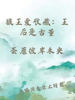 狼王爱收藏：王后是古董