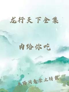 龙行天下全集